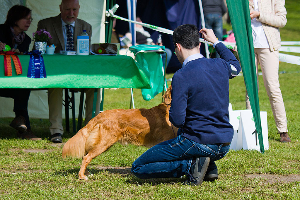 Edison wird von Stephan vor dem Richtertisch aufgestellt