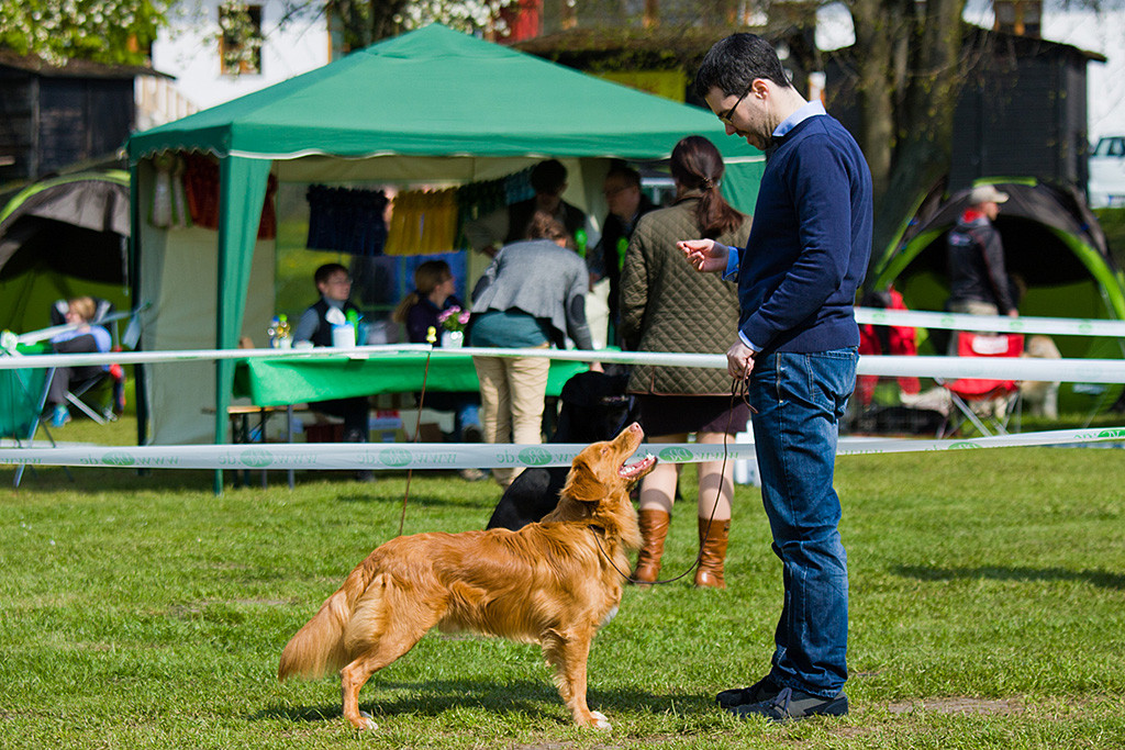 Edison stehend vor Stephan, im Hintergrund sind die anderen Ringe zu sehen