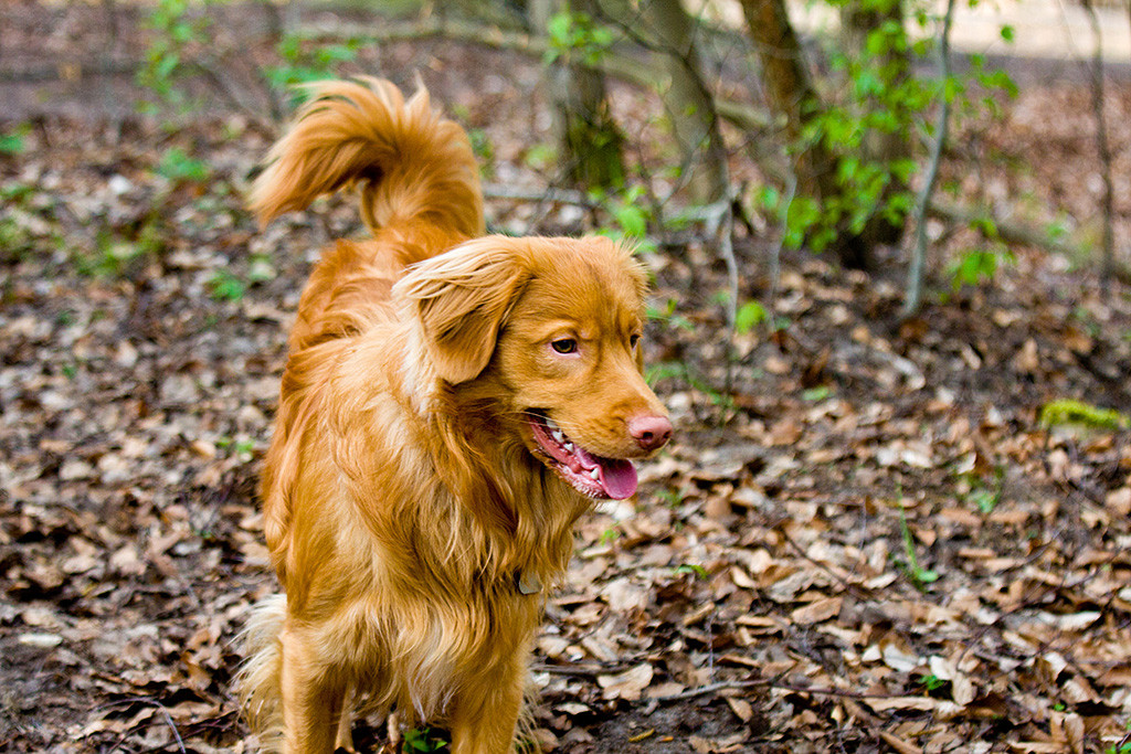 Etu von vorn während er lächelt