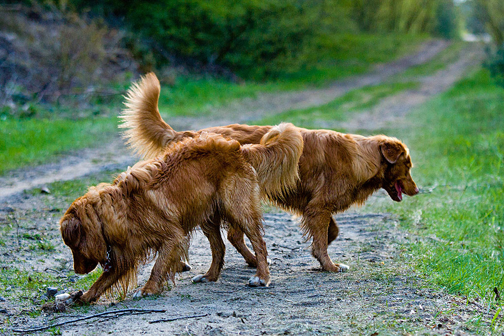 Edison und Etu laufen aneinander vorbei