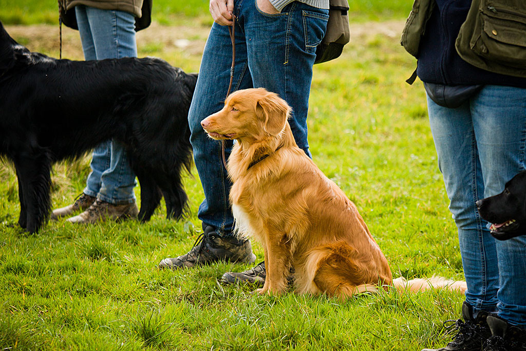 Edison sitzt neben Stephan auf der Wiese und schaut konzentriert in die Ferne