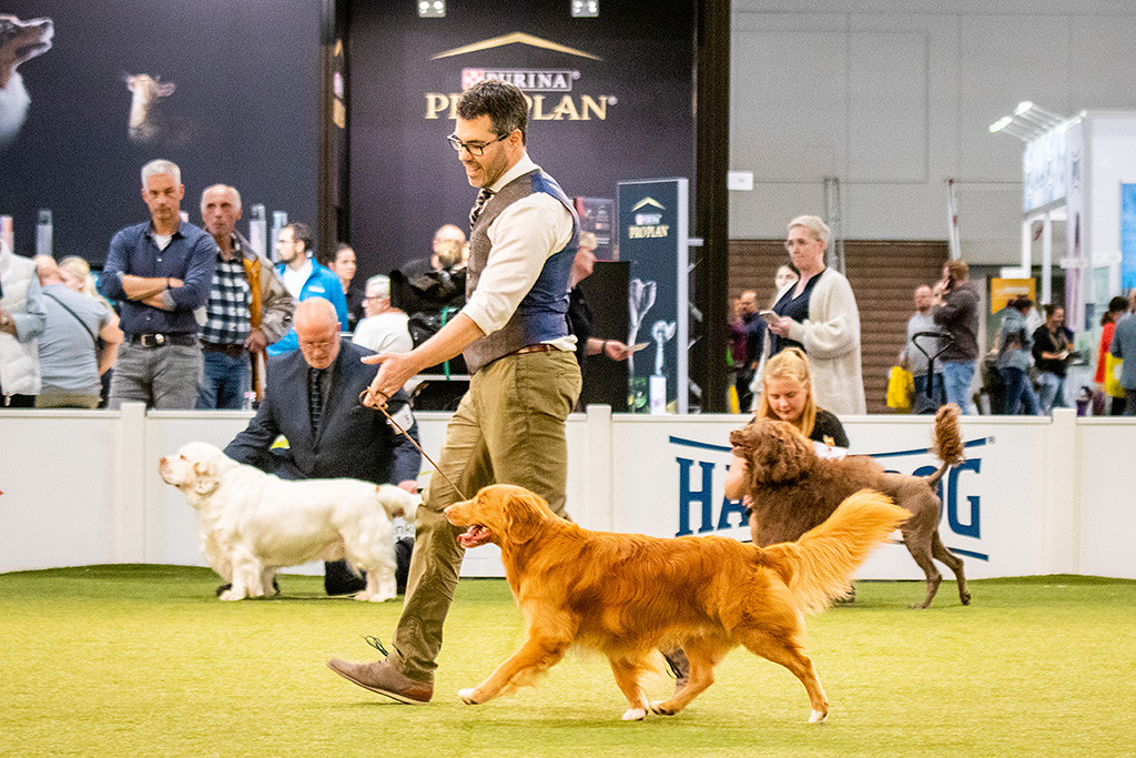 Newton präsentiert im Ehrenring sein Gangwerk an Stephans Seite