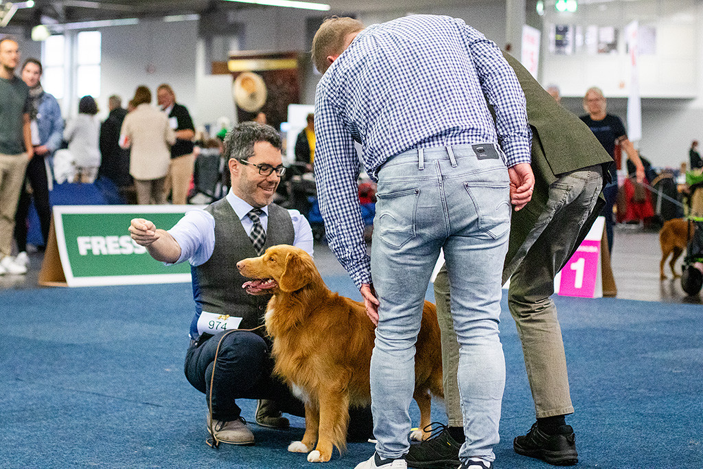 Newton wird von Richter und Richteranwärter begutachtet während Stephan dahinter kniet