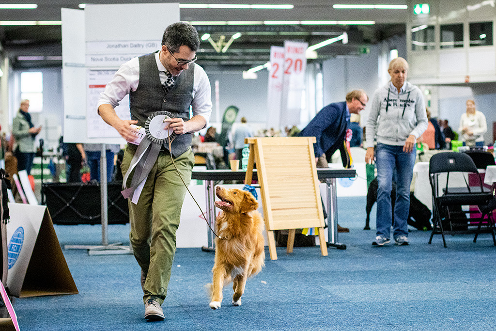 Newton schaut freudig zu Stephan hoch, während sie beide aus dem Ring gehen