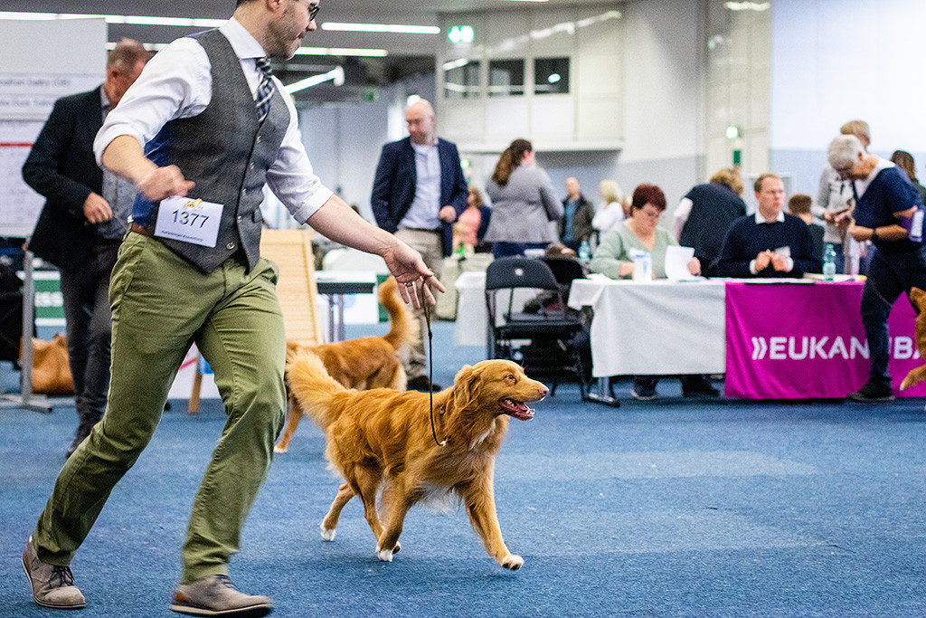 Newton dreht an Stephans Seite eine weitere Runde durch den Ring