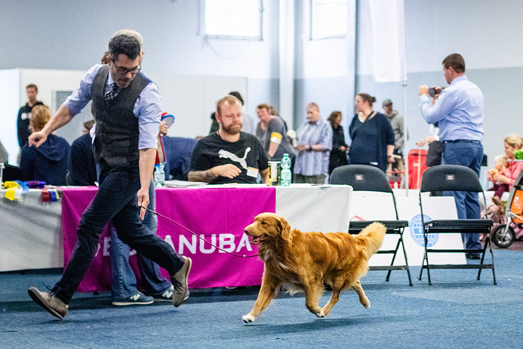 Newton fliegt an Stephans Seite durch den Ring, dabei sind alle Pfoten in der Luft