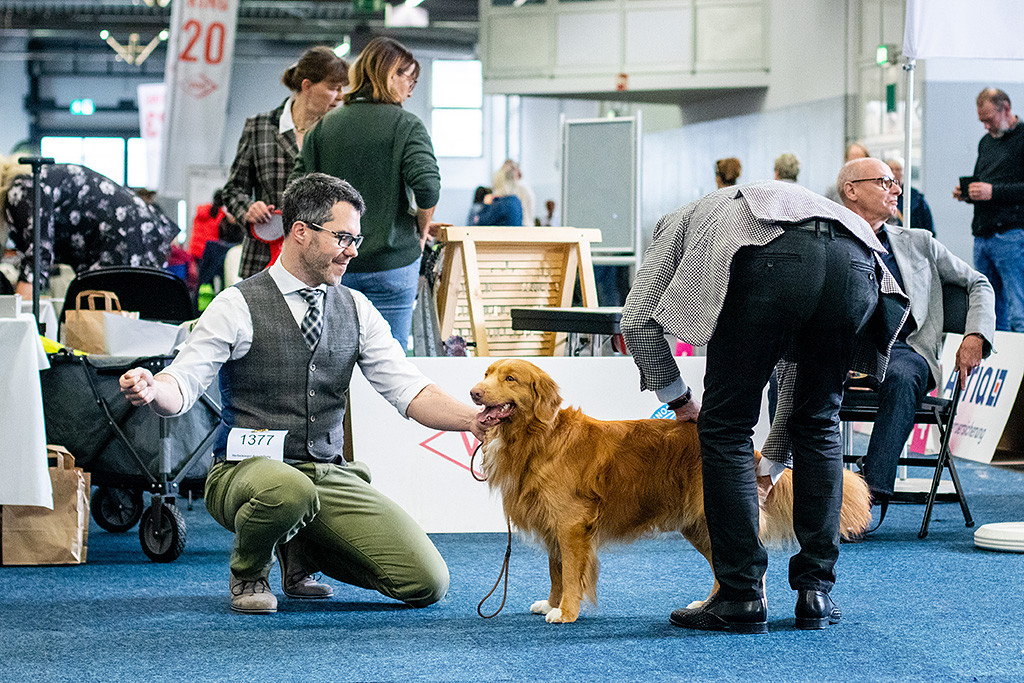 Newton wird vom Richter abgetastet, Stephan kniet daneben