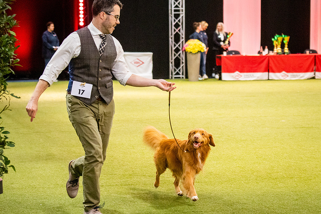 Newton läuft freudig an Stephans Seite durch den Ehrenring, die sich gegenseitig anschauen