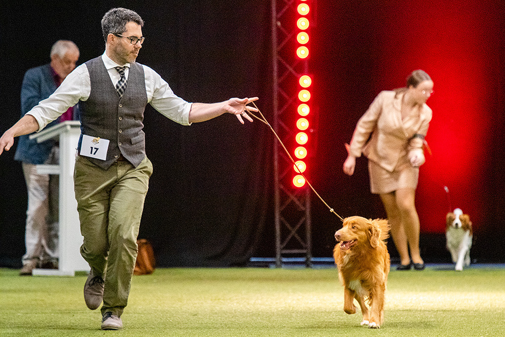 Newton läuft an Stephans Seite freudig in den Ehrenring ein