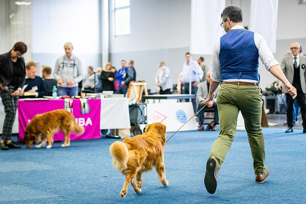 Newtons Gangwerkprobe auf den Richter zu