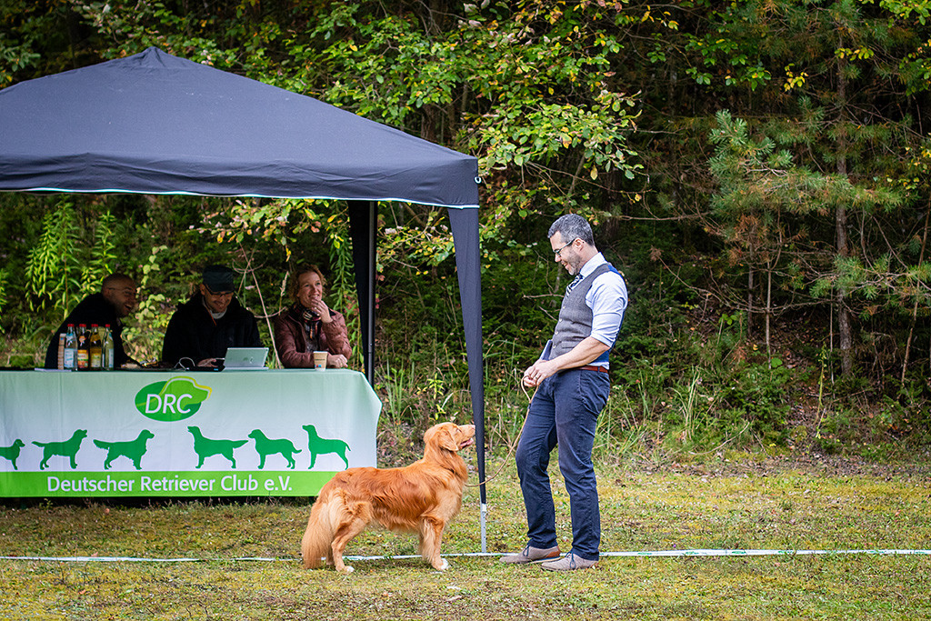 Newton posiert vor dem Richtertisch, an dem drei Personen sitzen, die alle laut lachen, Stephan vor Newton stehend inklusive