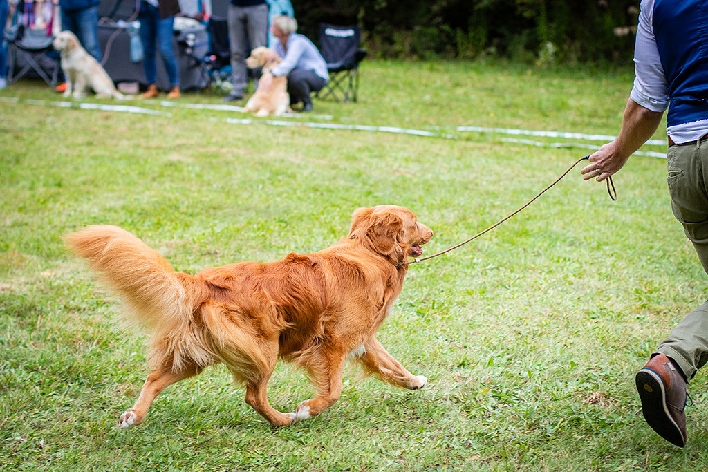 Newton zeigt den perfekten Kreuzgang an Stephans Seite
