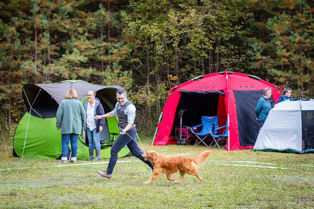 Newton fliegt an Stephans Seite förmlich durch den Ring