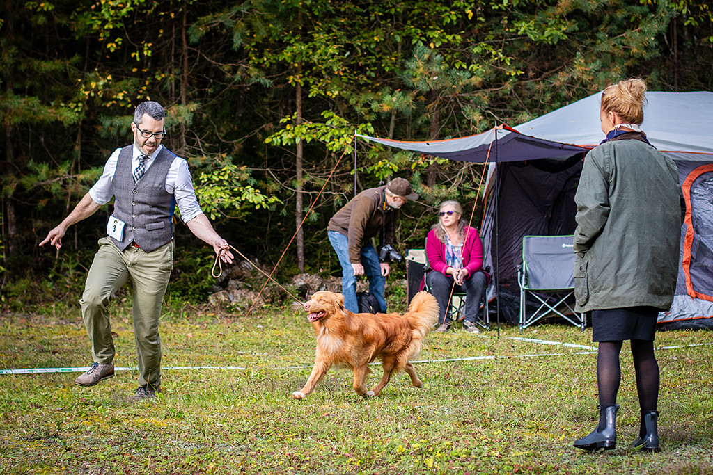 Newton fliegt unter Beobachtung der Richterin im perfekten Kreuzgang an Stephans Seite durch den Ring