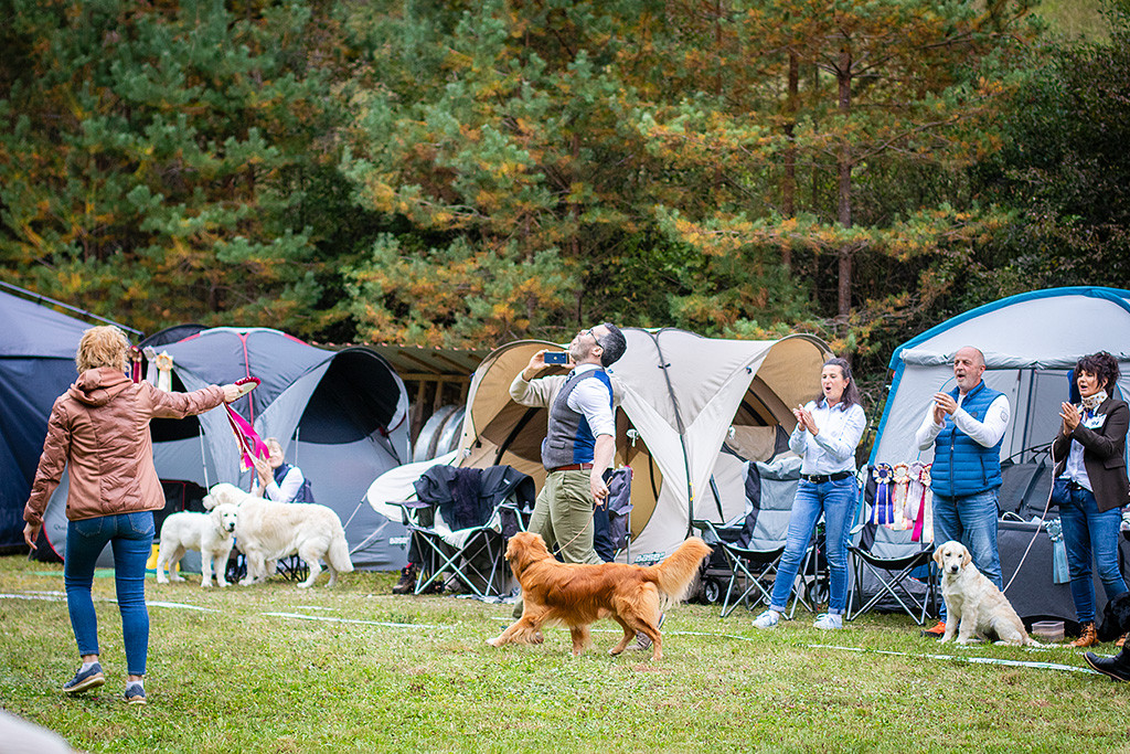 Newton läuft freudig an Stephans Seite durch den Ring, dahinter der Flat Coated Retriever
