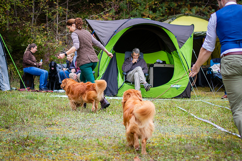 Anika läuft mit Edison und Stephan mit Newton durch den Ring