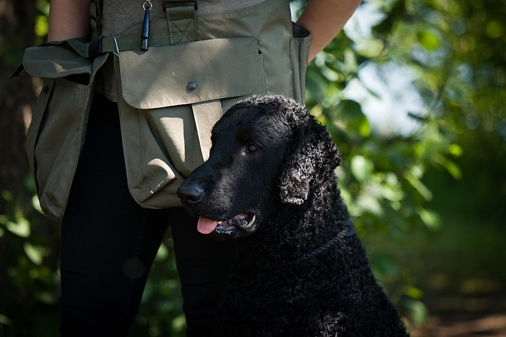 Samu sitzt neben Ann-Kathrin und lässt lässig die Zunge raushängen