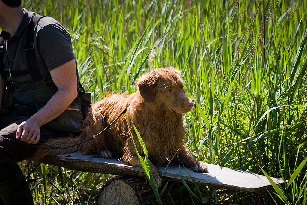 Edison liegt neben Stephan auf einer Holzbank