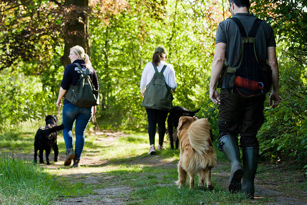 Edison macht sich an der Seite von Stephan und zwei anderen Gespannen auf dem Weg