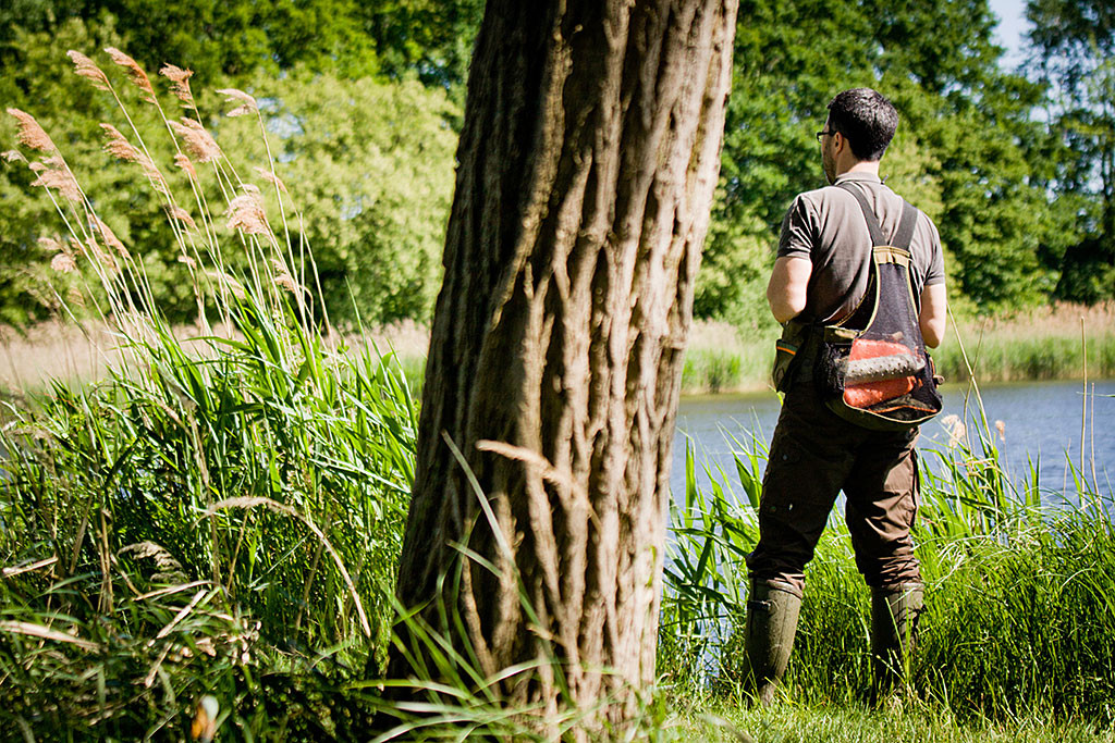 Stephan blickt übers Schilf hinaus, um zu schauen, was Edison macht