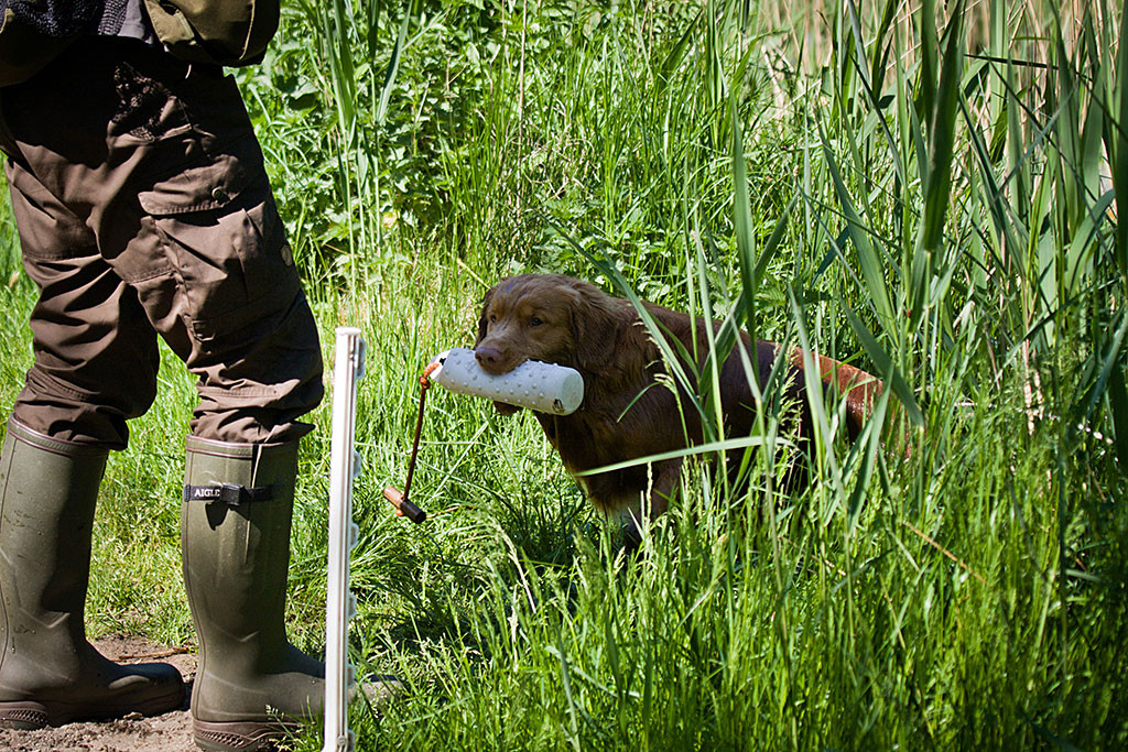 Edison steigt aus dem Wasser und bringt Stephan den Dummy