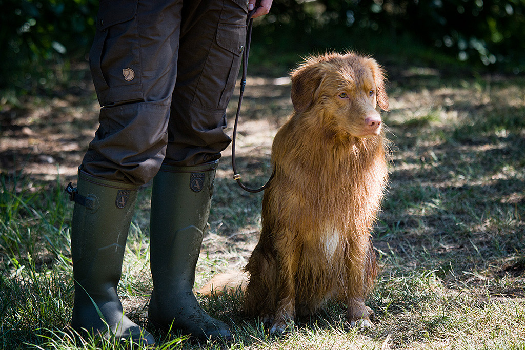 Edison sitzt angeleint und nass wartend neben Stephan