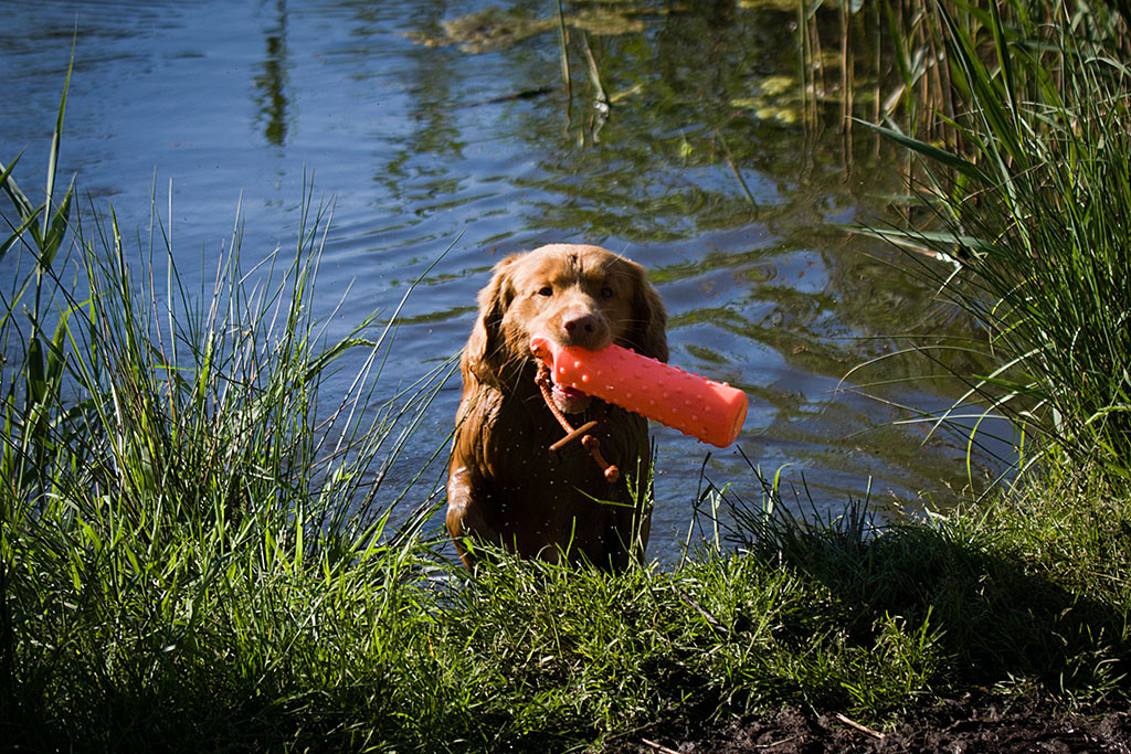 Edison steigt mit einen Dummy im Fang aus dem Wasser