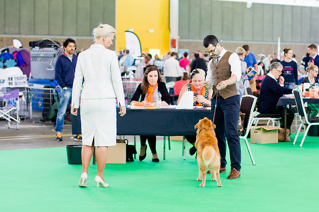 Edison steht bei Stephan vor dem Richtertisch während die Richterin einen prüfenden Blick auf ihn wirft