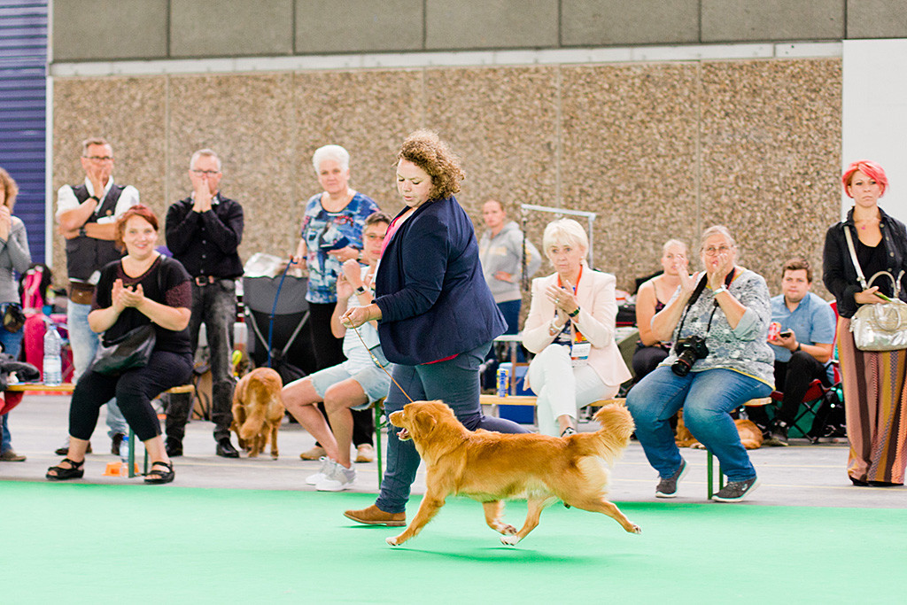 Gwenny fliegt an Kelly’s Seite durch den Ring