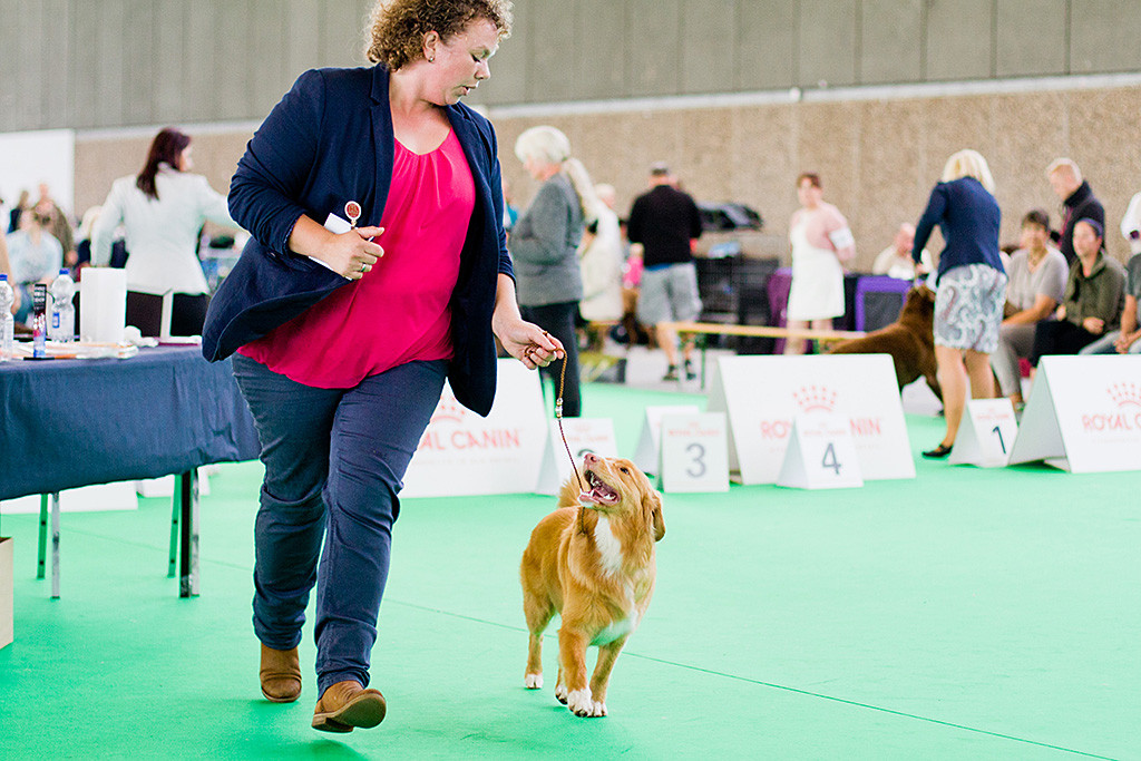 Edisons Tochter Keet läuft an Kelly’s Seite freudig durch den Ring