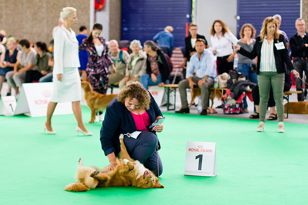 Gwenny wälzt sich vor Kelly auf dem Boden und wird von ihr gekrault