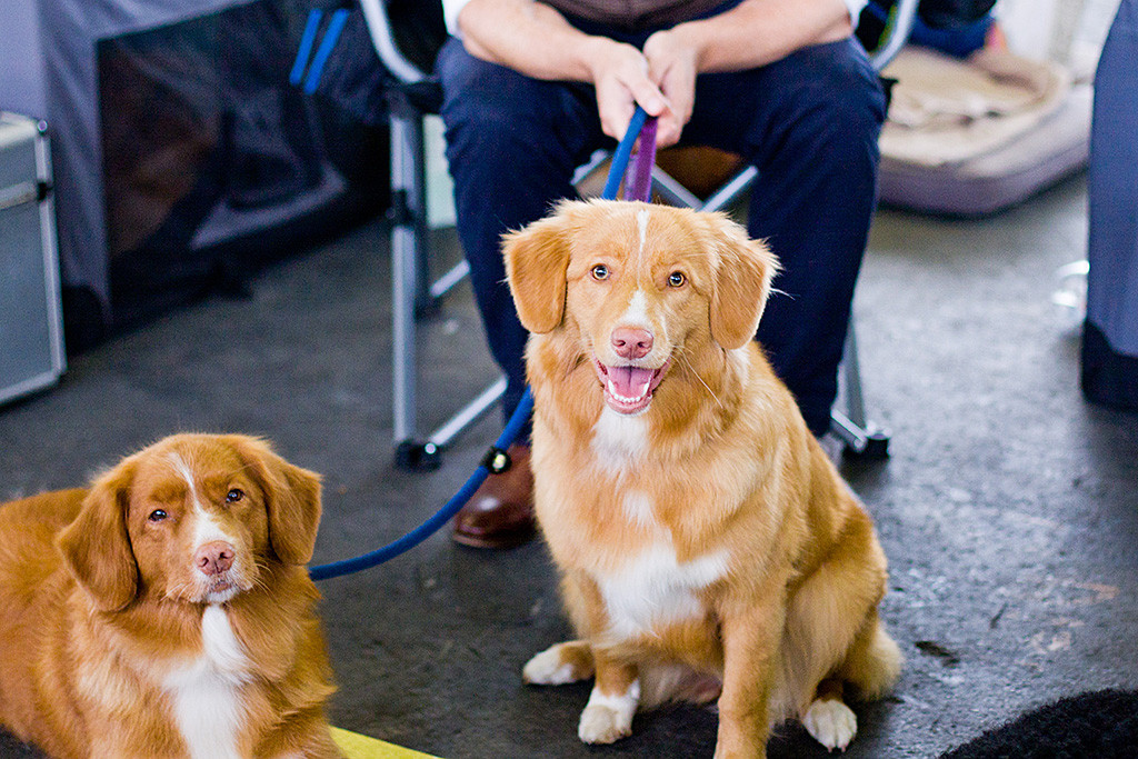 Edisons Tochter Keet sitzt und Stevie liegt vor Stephan während sie warten