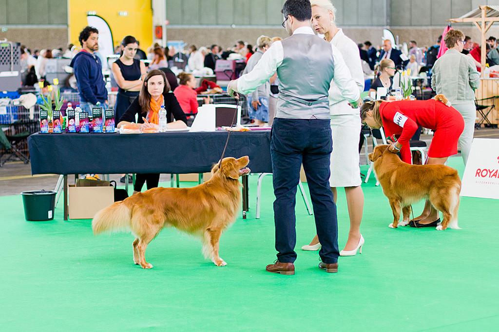 Edison schaut zur Richterin hoch, während sie mit Stephan spricht