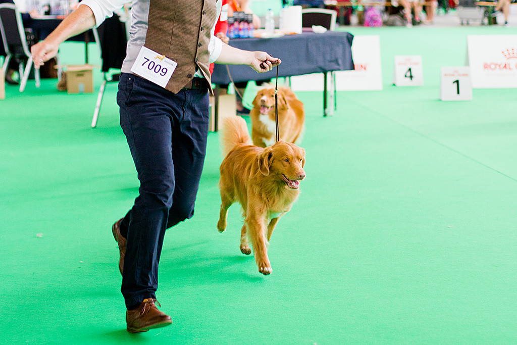 Edison fliegt förmlich an Stephans Seite durch den Ring