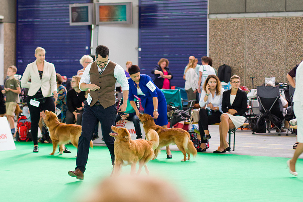 Edison tritt an Stephans Seite aus der Reihe heraus