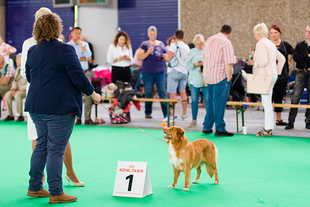 Gwenny steht als Gewinnerin frei im Ring, daneben unterhalten sich Kelly und die Richterin