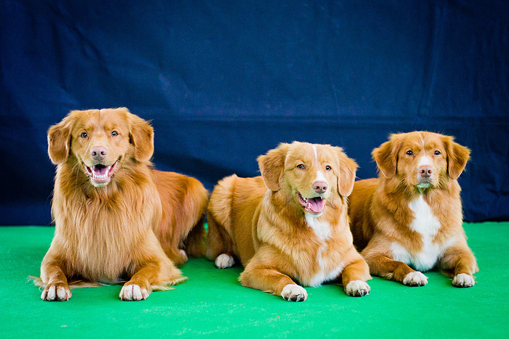 Edison liegt links neben Keet, die wiederum links von Gwenny liegt