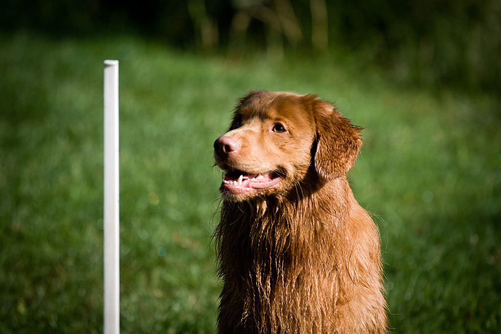 Edison lächelt nass in die Kamera