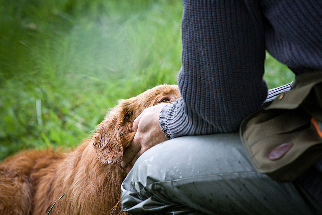 Edison wird von Stephan am Kopf gekrault