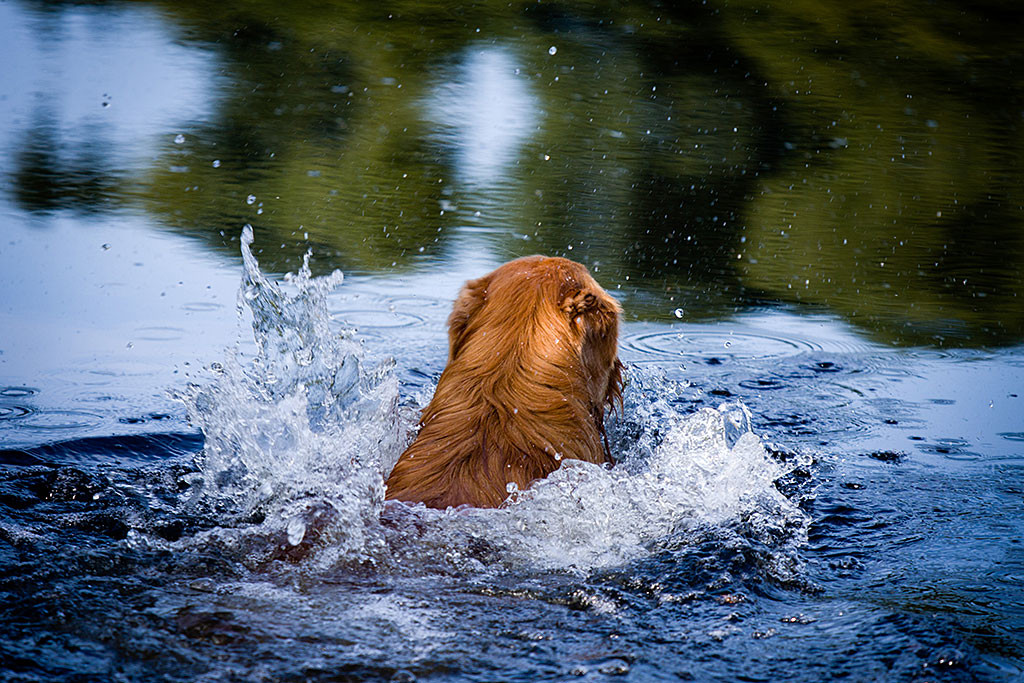 Edisons erster Sprung ins Wasser