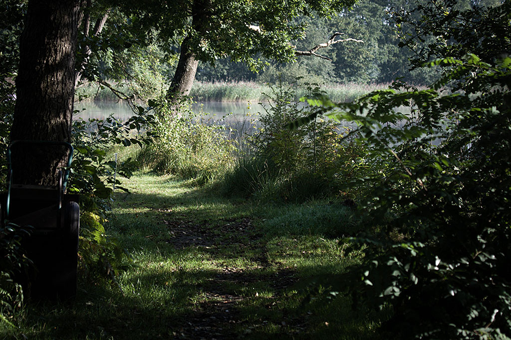 Trainingslandschaft im Morgendunst
