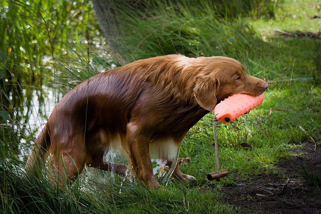 Edison steigt mit Dummy im Fang aus dem Wasser