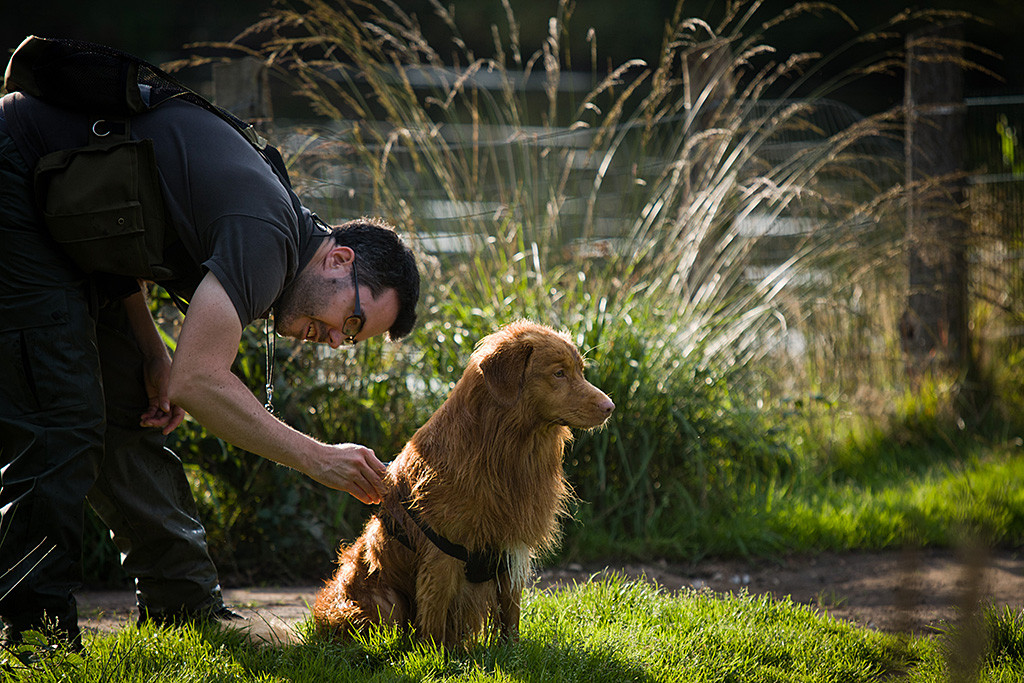 Edison wird die GoPro auf den Rücken geschnallt