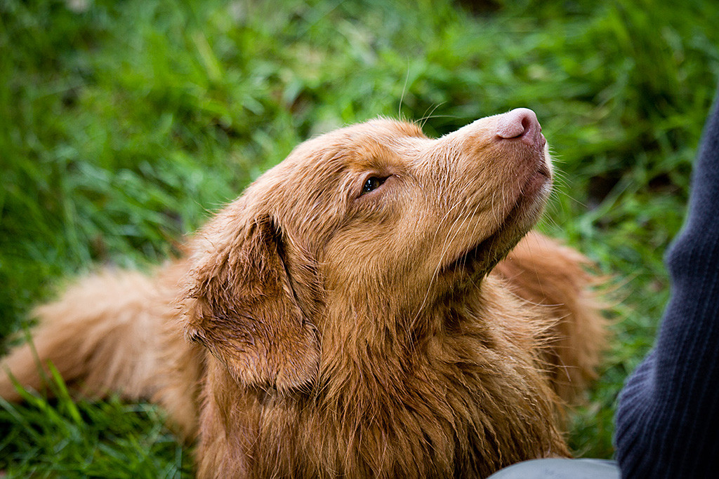 Edison schaut zu Stephan hoch und himmelt ihn an