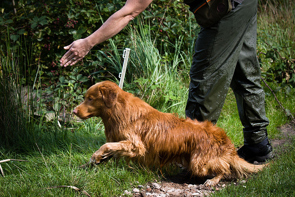 Edison schießt an Stephans Seite aus den Startlöchern