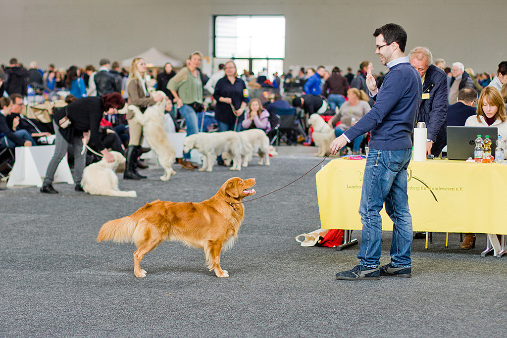 Edison steht vor dem Richtertisch mit Stephan, beide lächeln sich an