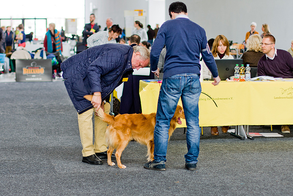 Edisons Rute wird vom Richter begutachtet während Stephan davor steht
