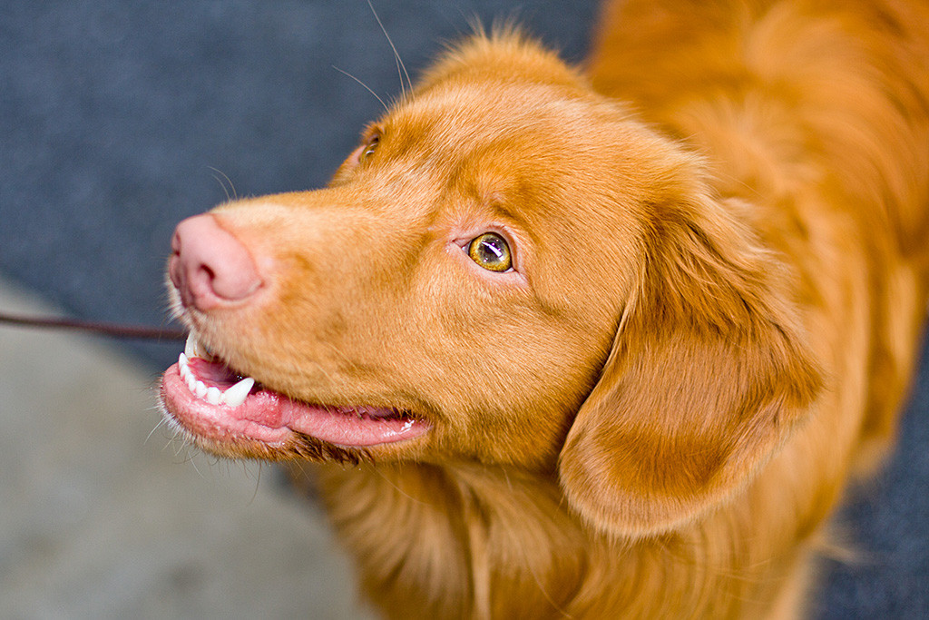 Edison schaut verschmitzt nach oben und lächelt dabei